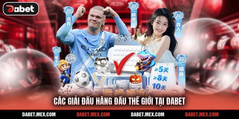 Các giải đấu hàng đầu thế giới tại Dabet