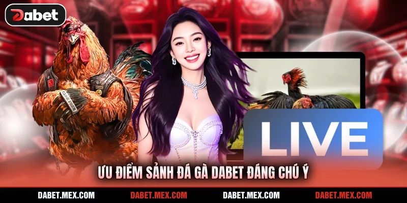 Ưu điểm sảnh đá gà Dabet đáng chú ý